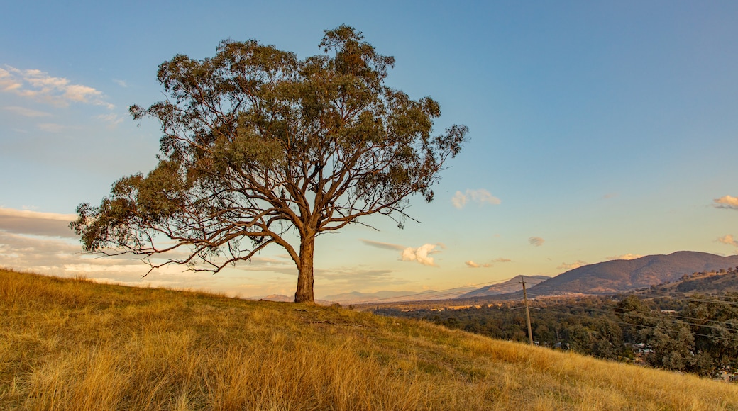 Huon Hill Parklands featuring a sunset and tranquil scenes