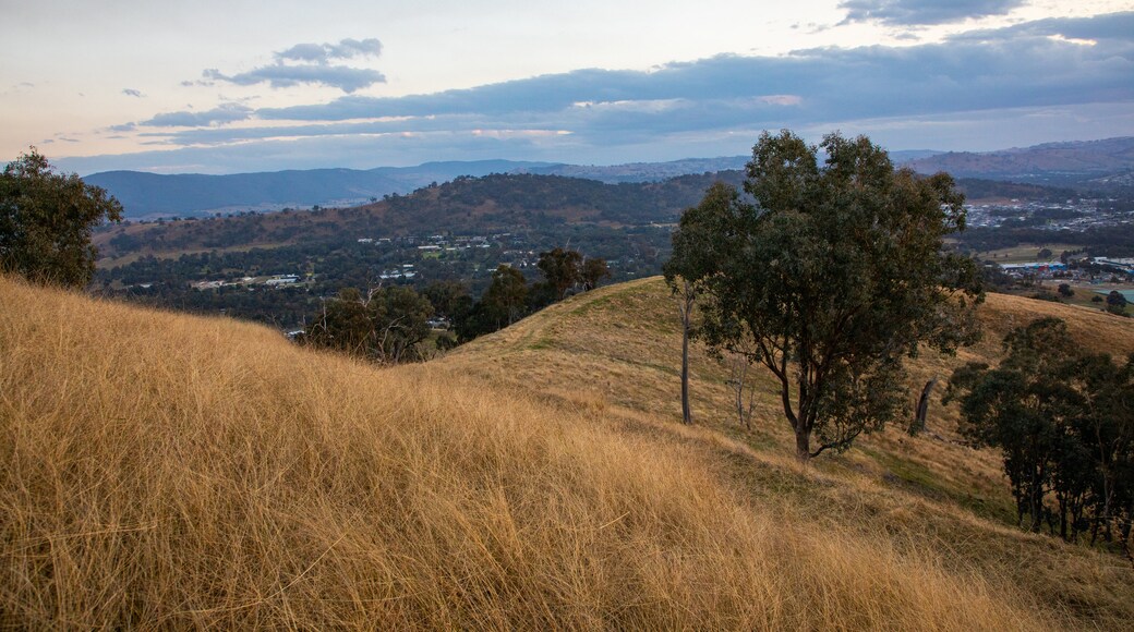 ทุ่งหญ้า Huon Hill