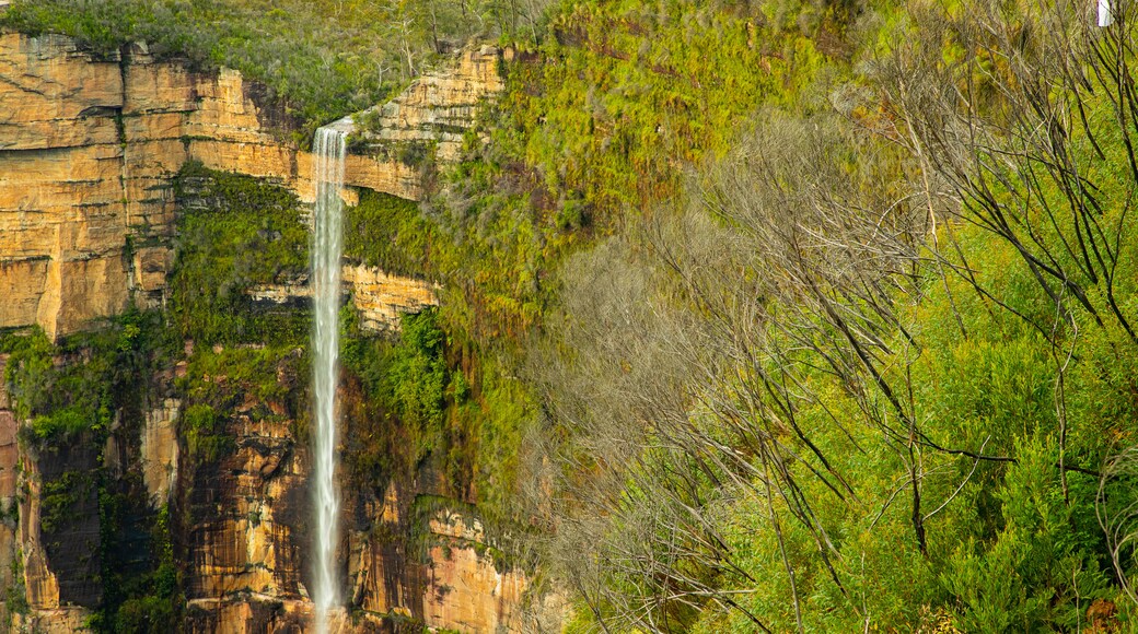 Govetts Leap lookout