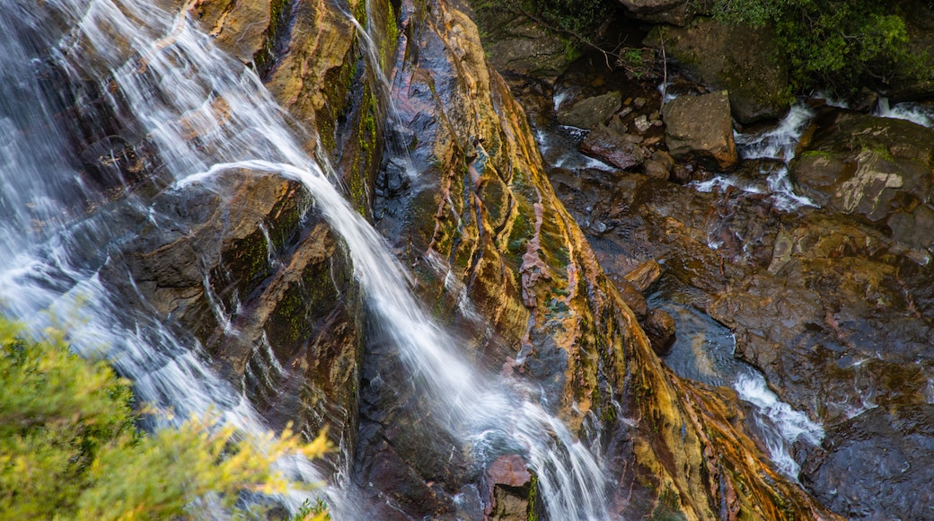 Leura Cascades which includes a waterfall