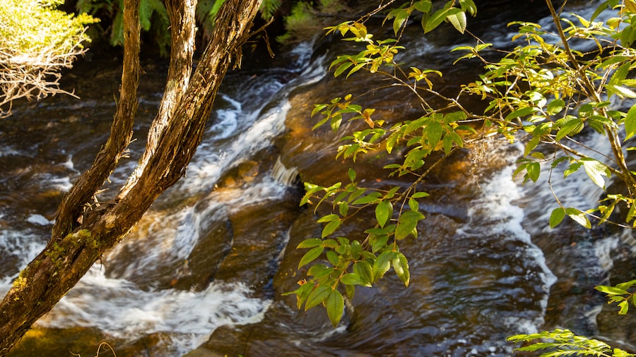 Cascadas de Leura
