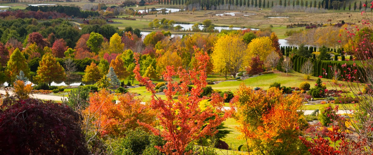Mayfield Garden featuring a park, landscape views and tranquil scenes
