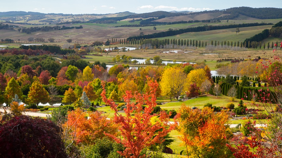 Mayfield Garden featuring a park, landscape views and tranquil scenes