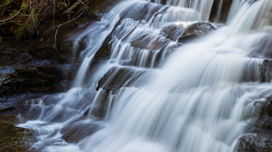 Leura Cascades showing a waterfall and a river or creek