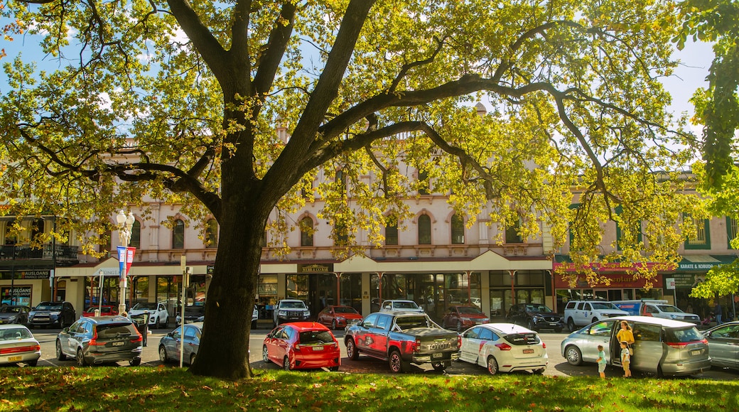 Machattie Park