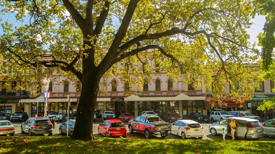Machattie Park
