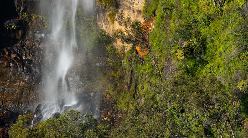 Bridal Veil Falls Nature Reserve