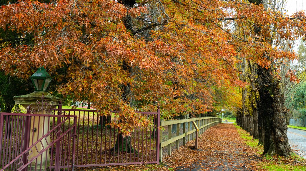 Eskbank House and Museum