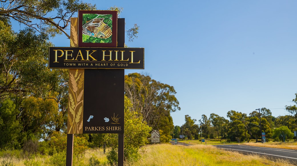 Peak Hill showing signage and tranquil scenes