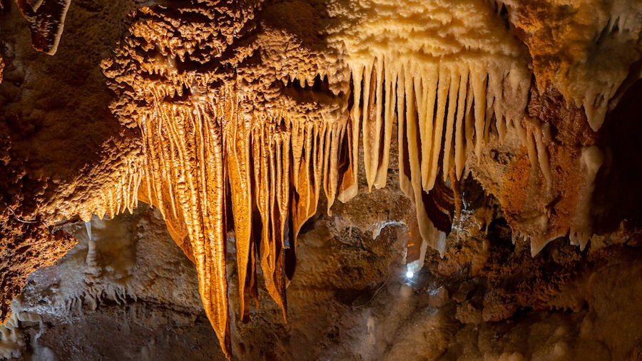 Jenolan Caves which includes caves