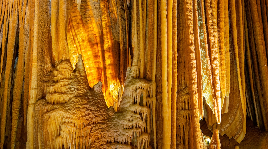 Jenolan Caves showing caves