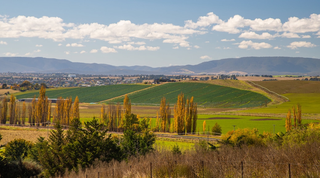 10 TOP Things to Do in Bathurst from AU1,278 Expedia 10 TOP Things to Do in Bathurst from AU1,278 Expedia