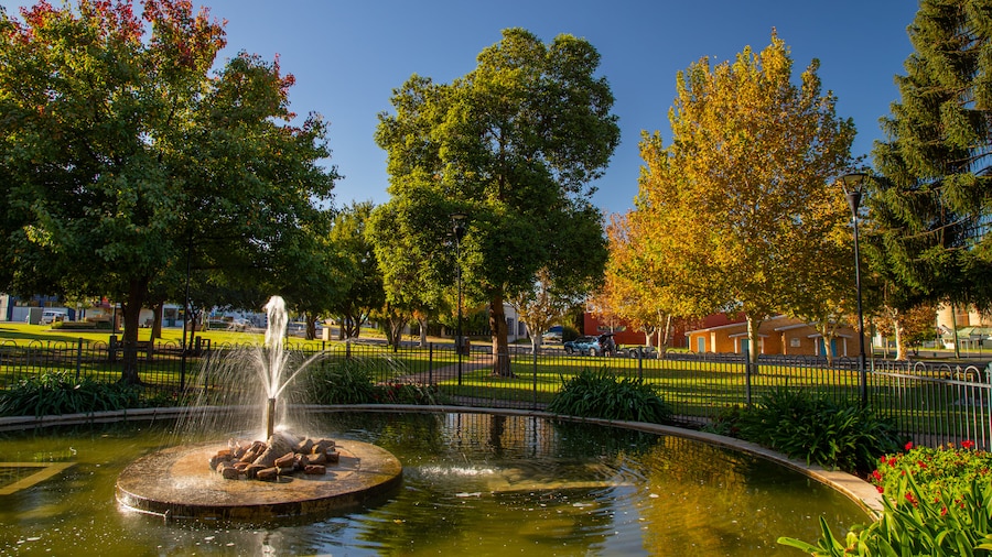Cooke Park