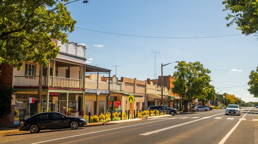 Peak Hill showing a small town or village