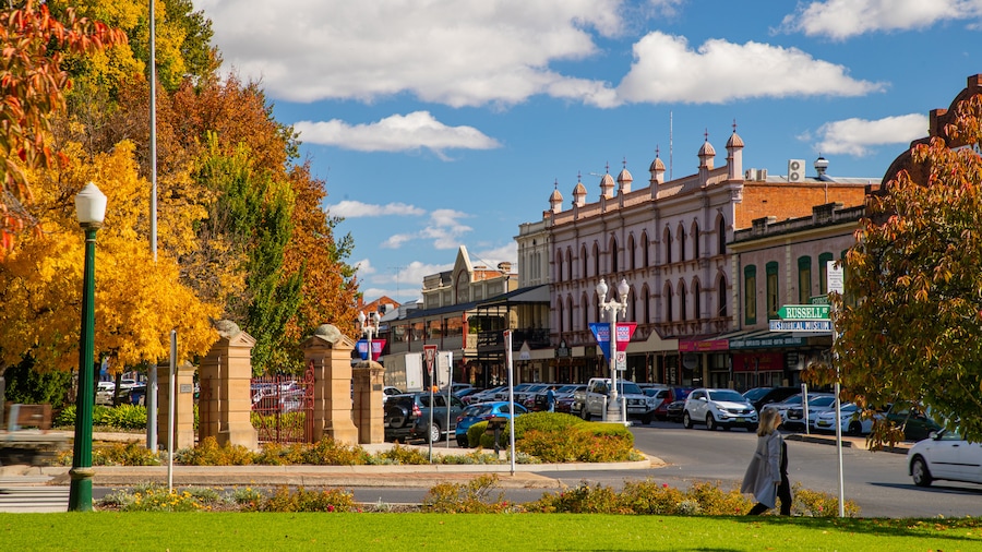 Bathurst featuring a small town or village and a park
