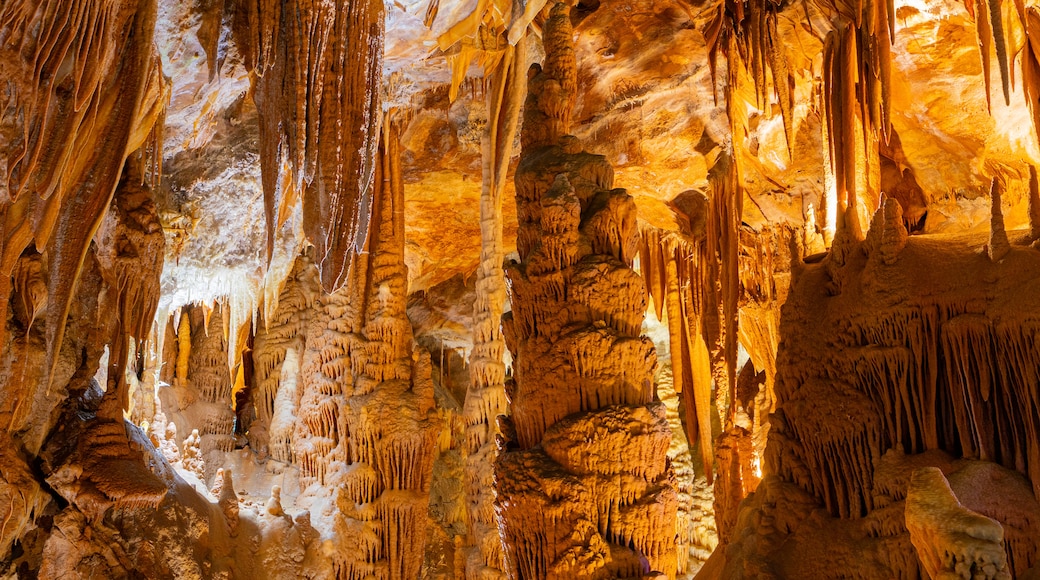 Jenolan Caves featuring caves