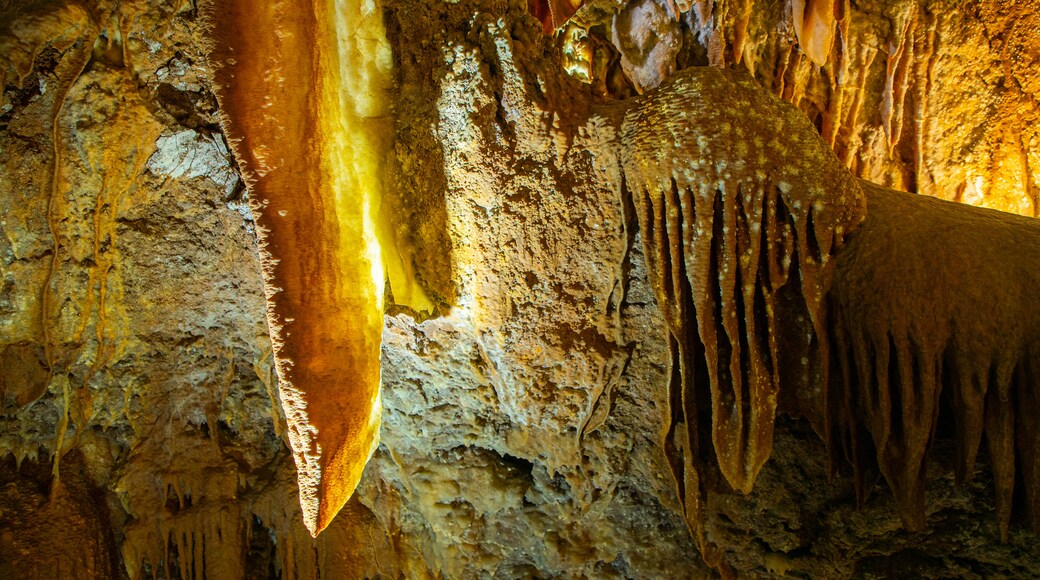 Jenolan Caves which includes caves