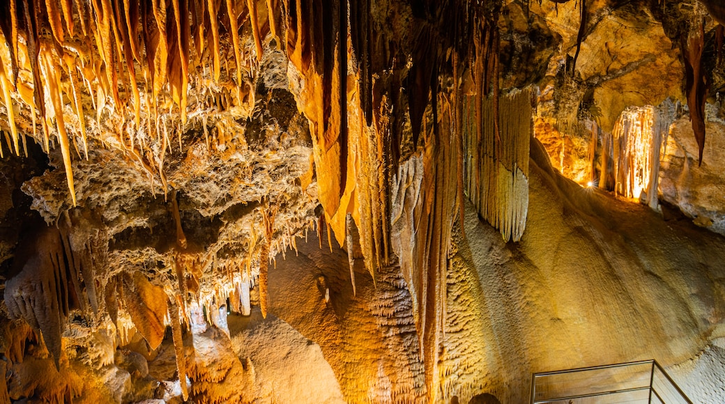 Jenolan Caves featuring caves