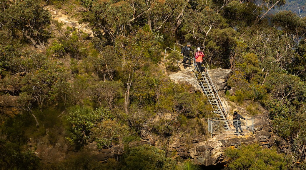 Prince Henry Cliff Walk Trailhead featuring tranquil scenes as well as a small group of people