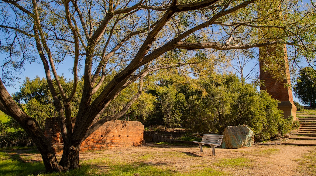 Bushmans Hill Reserve