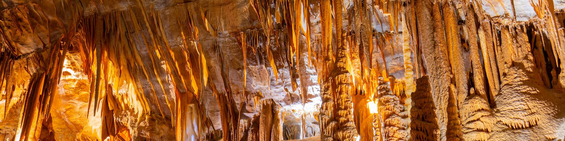Jenolan Caves which includes caves