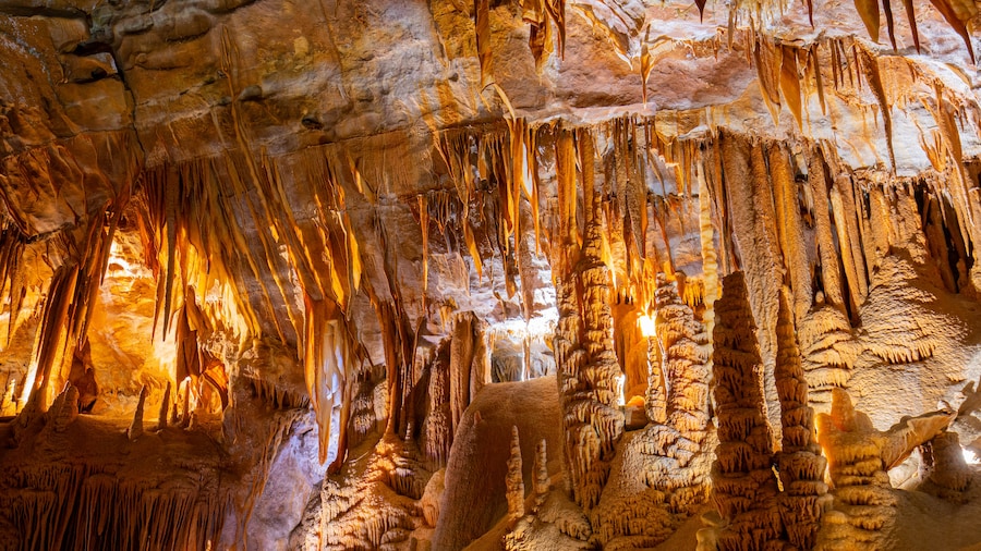 Jenolan Caves (grottes)