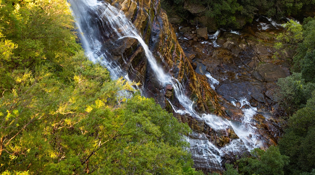 Leura Cascades showing a cascade