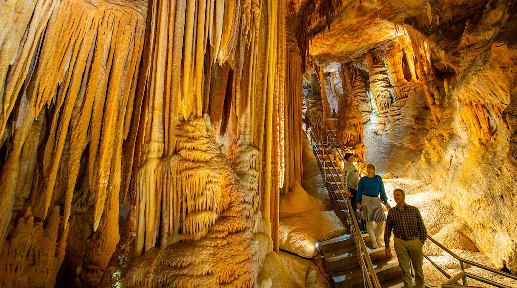 Jenolan Caves featuring caves as well as a small group of people