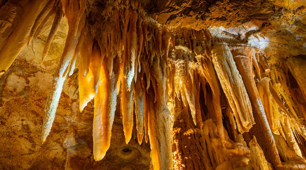 Jenolan Caves which includes caves