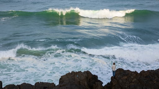 拜倫角洲保護區