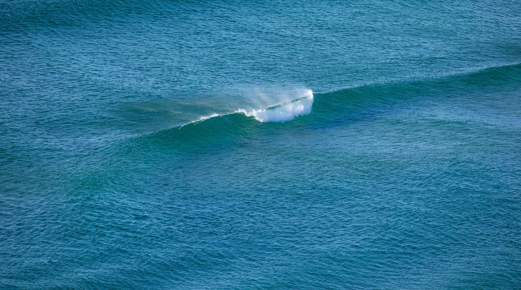 Playa Tallow