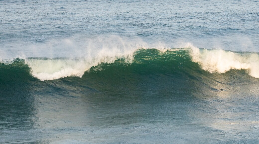 Cape Byron State Conservation