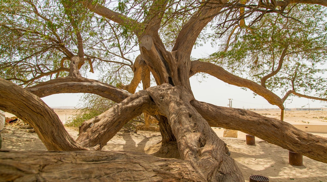 Albero della Vita