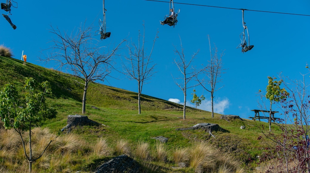 Bob\'s Peak which includes a gondola and a park