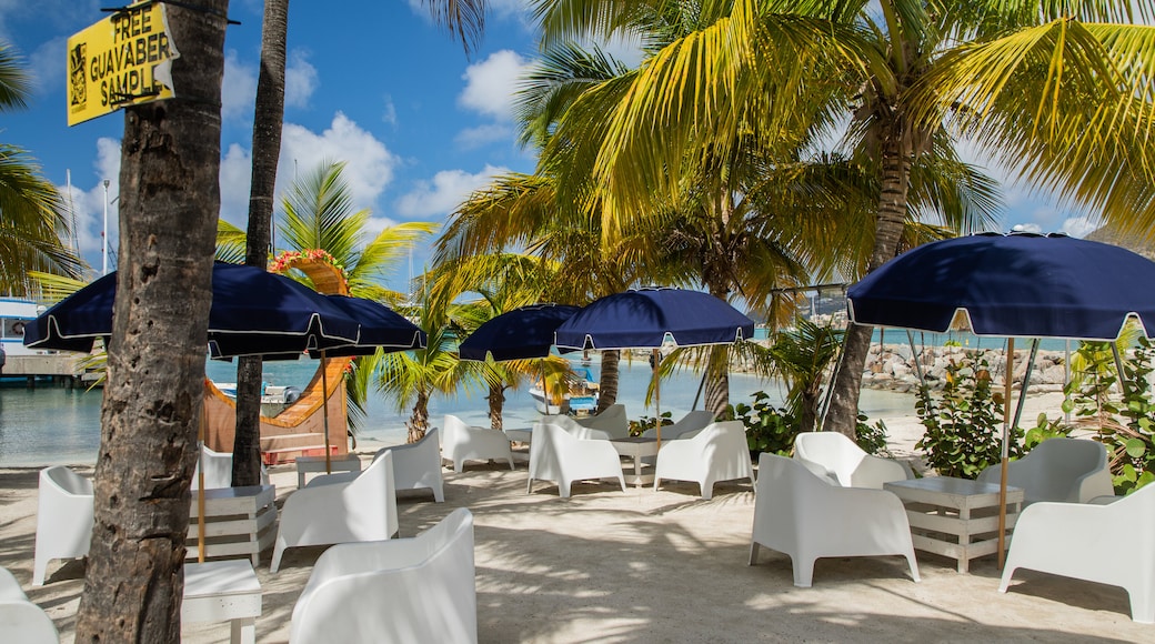 Great Bay Beach featuring tropical scenes