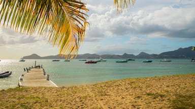 Oualie Beach which includes a sandy beach, tropical scenes and general coastal views