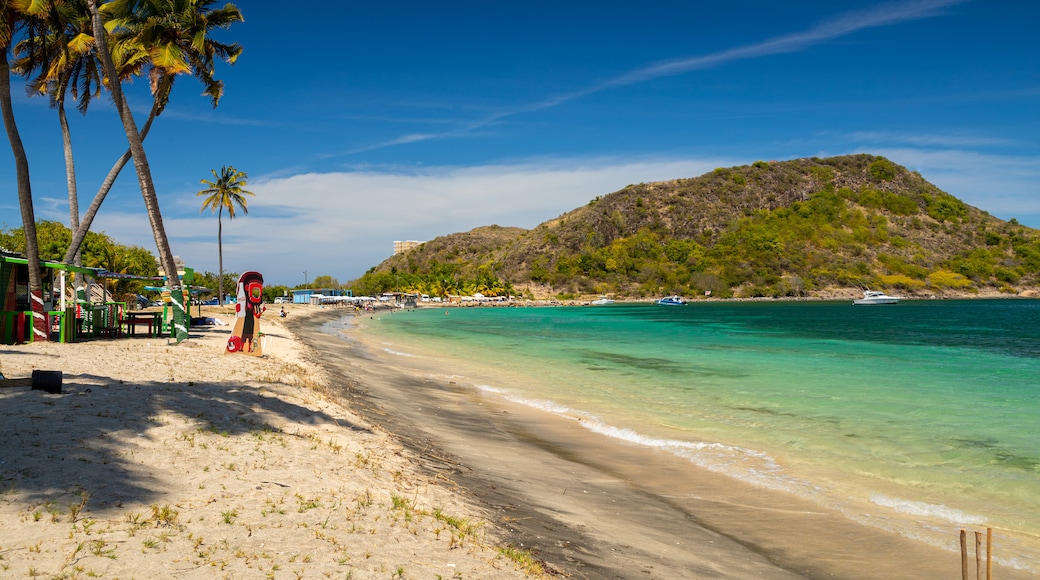 Cockleshell Bay showing a sandy beach, tropical scenes and general coastal views