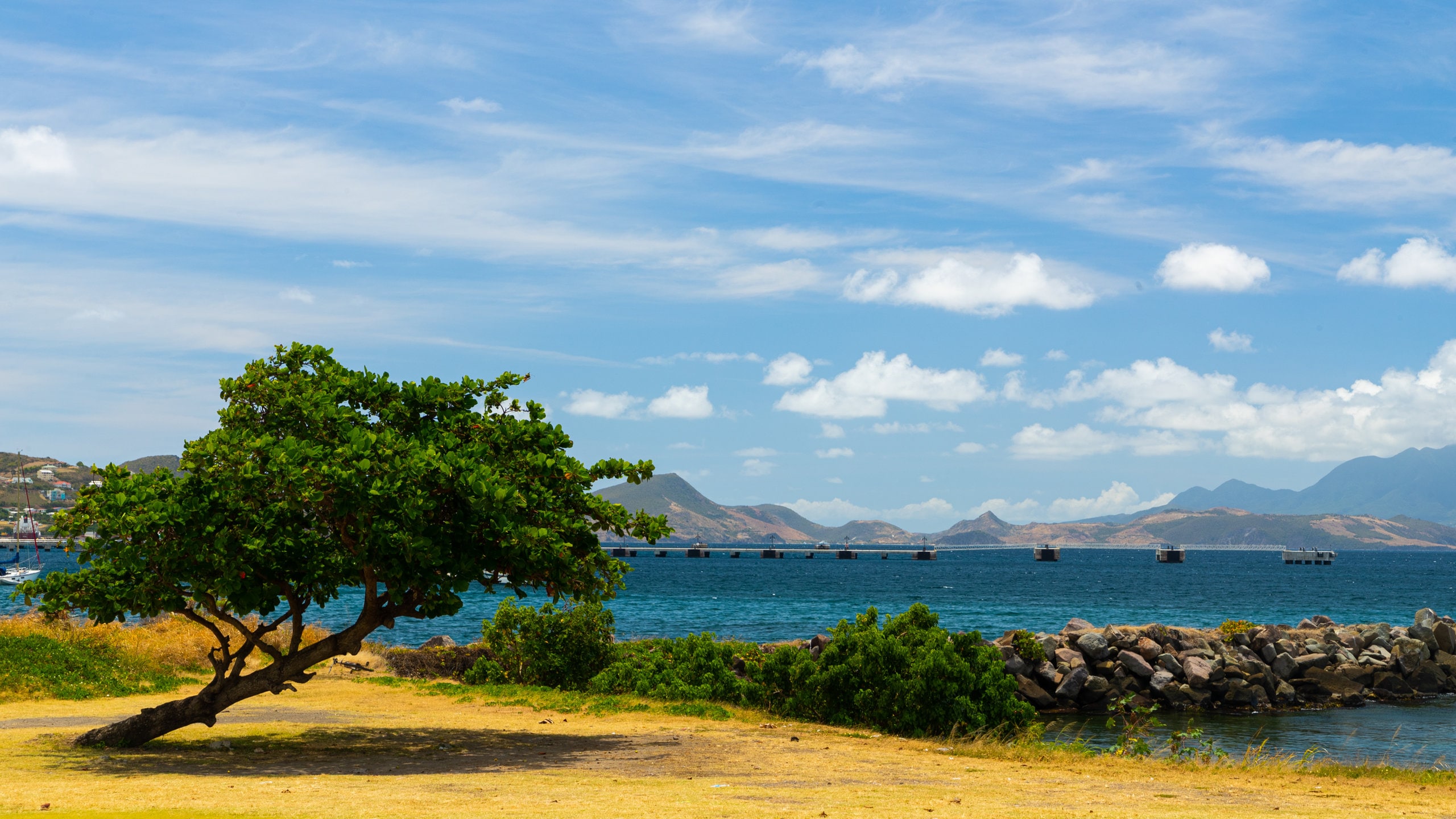 Basseterre featuring general coastal views