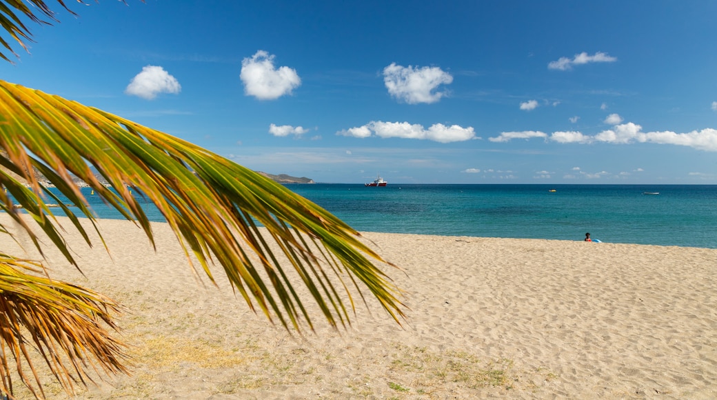 Frigate Bay Beach featuring a sandy beach, general coastal views and tropical scenes