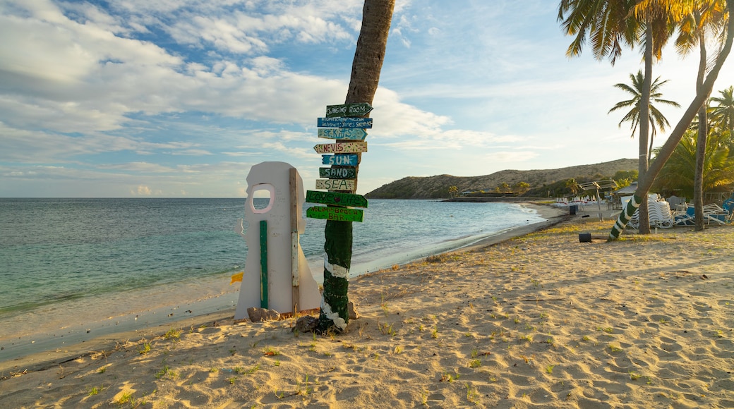 Cockleshell Bay showing tropical scenes, a beach and general coastal views