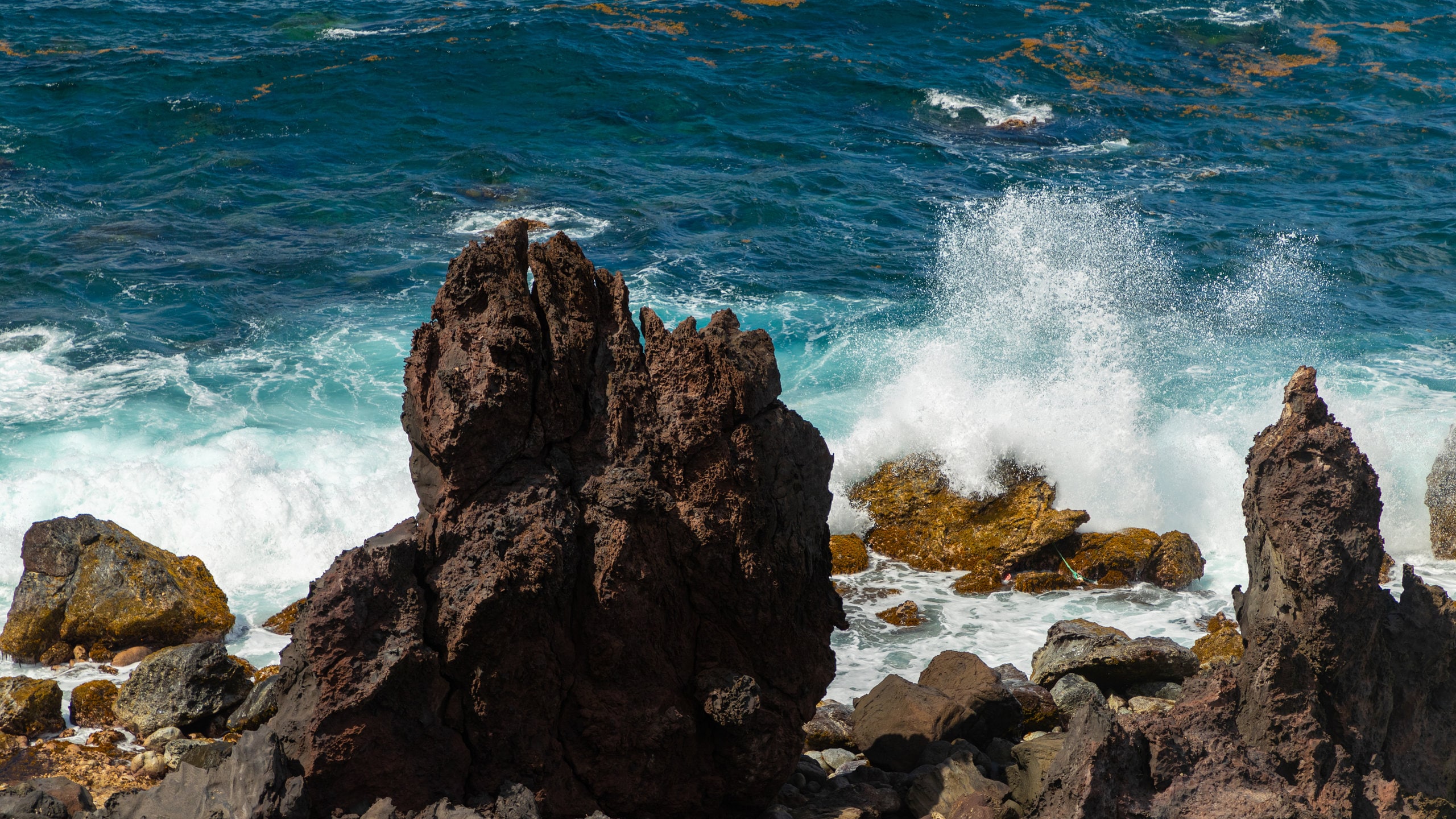 Paróquia de Christ Church Nichola Town