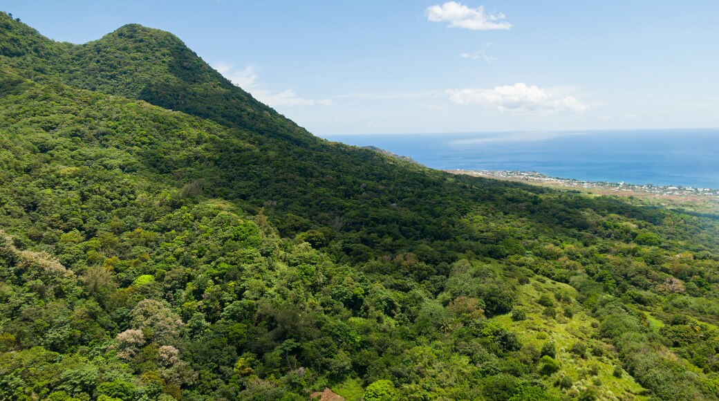 Mount Liamuiga