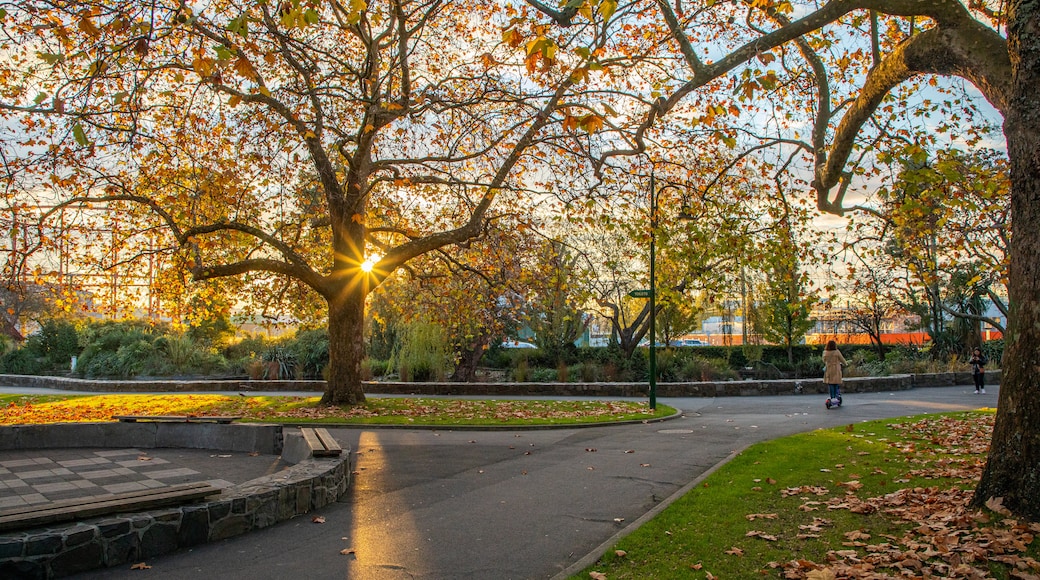 市立公園