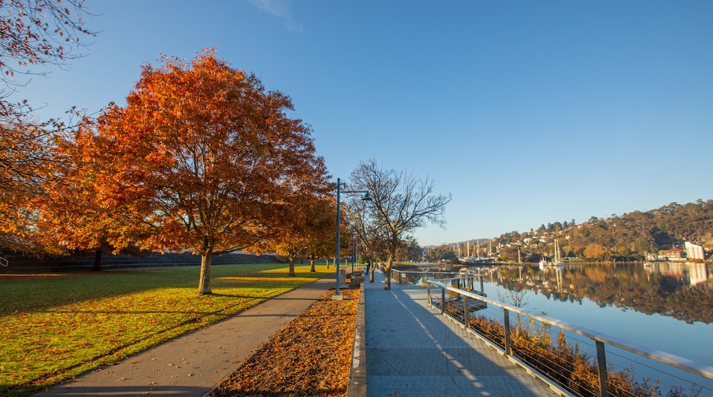 Royal Park which includes autumn leaves and a park