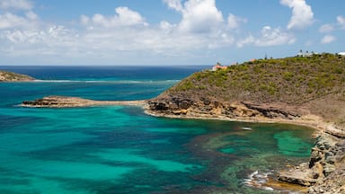 Petit Cul-de-Sac which includes rocky coastline and general coastal views