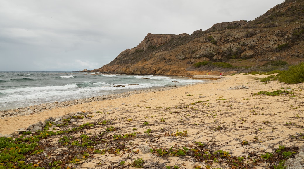 Grand Fond showing rocky coastline, a sandy beach and general coastal views