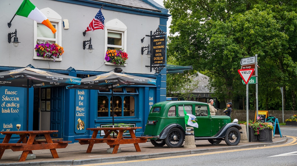 Adare which includes heritage elements