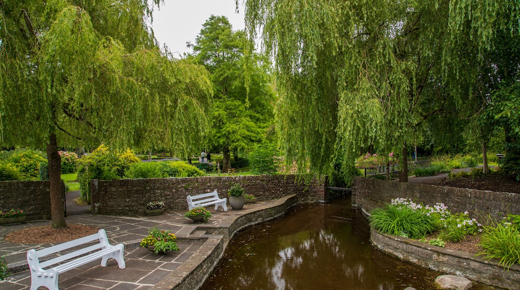 Adare showing a park and a pond