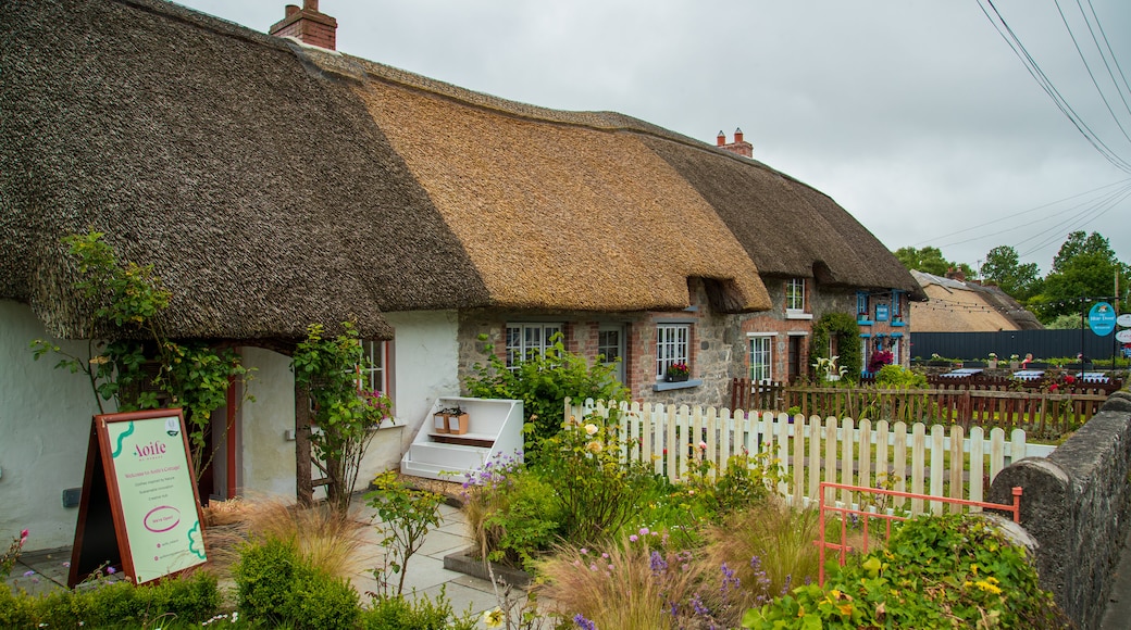 Adare featuring a house