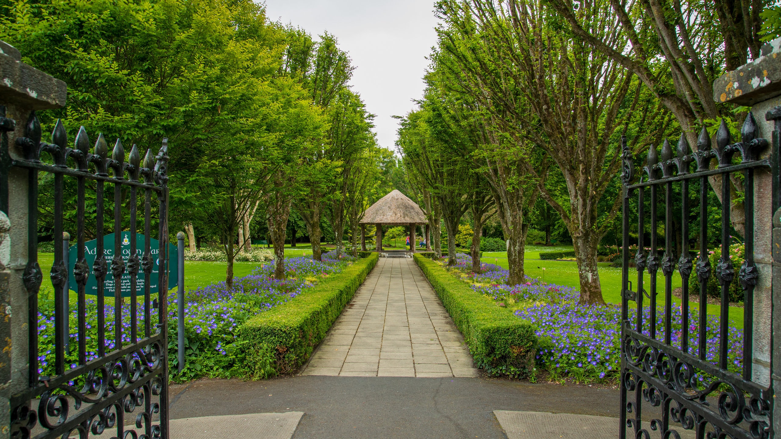 Adare showing flowers and a garden